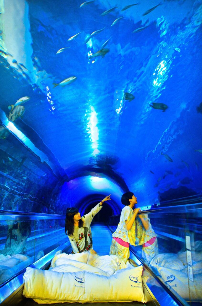 国立海洋生物博物馆-夜宿海生馆!童趣探索海洋两天一夜