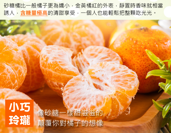 鮮採/多汁/珍珠/砂糖橘/水果/橘子/柑橘/季節/限定/甜/採收/秋/冬/必吃