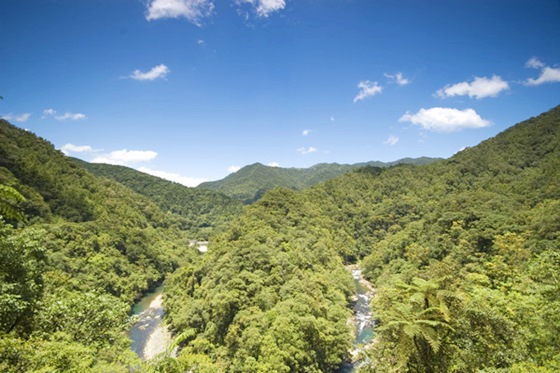 山水妍溫泉會館/山水妍/烏來/一泊二食/住宿