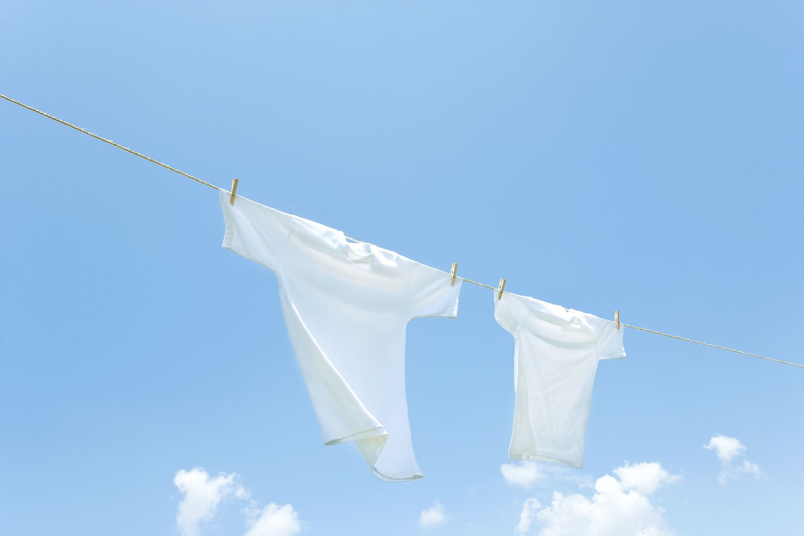 NETTO-神奇健康洗衣球-电视购物热卖商品,狂