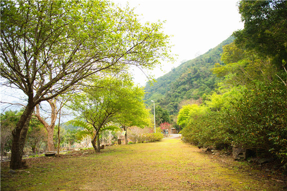 錦屏/美人/湯館/尖石/大眾湯/湯屋/餐