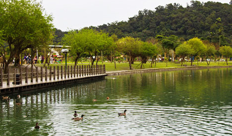 宜蘭/民宿/宜和/民宿/冬山河親水公園/住宿