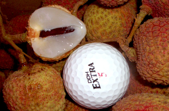 高雄大树乡玉荷包荔枝礼盒-杨贵妃也甘之屈服!粒粒多汁饱满的大树玉荷包,如高尔夫球般特大!白玉透亮、圆润诱人,品尝初夏鲜甜滋味!,17Life,团购、宅配24小时到货、优惠券、即买即用