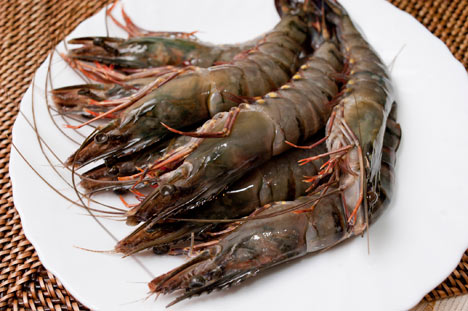 鲸神水产-极品大海虾-极品大海虾，新鲜送到家!享用极鲜海产，不必上渔市人挤人，也不必花大钱上餐馆，人人都能变身大厨神!