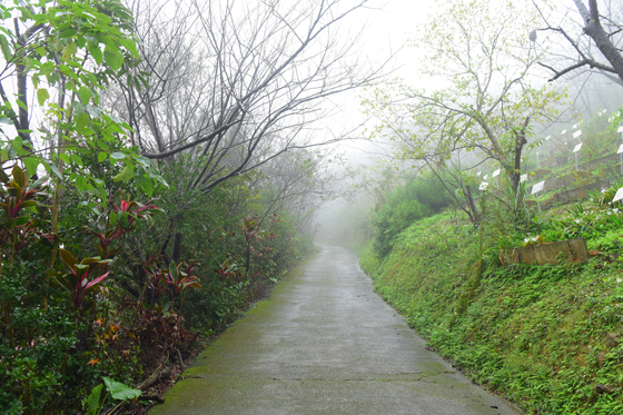 崑崙養生莊園/崑崙/崑崙養生/養生莊園/桃園/龍潭/門票