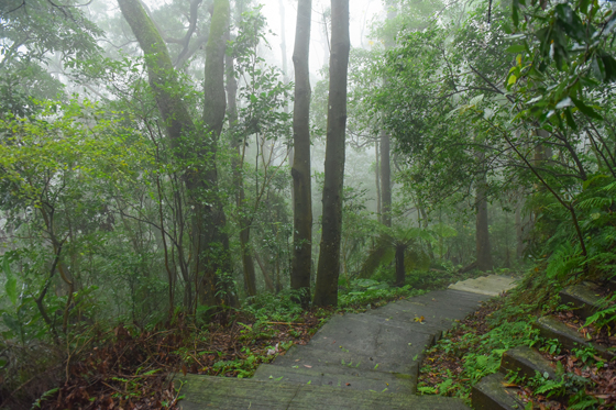 崑崙養生莊園/崑崙/崑崙養生/養生莊園/桃園/龍潭/門票