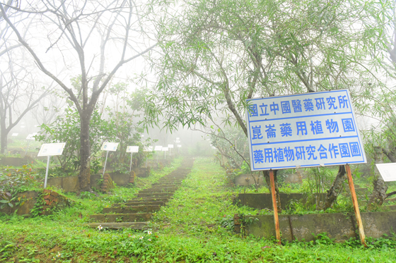 崑崙養生莊園/崑崙/崑崙養生/養生莊園/桃園/龍潭/門票