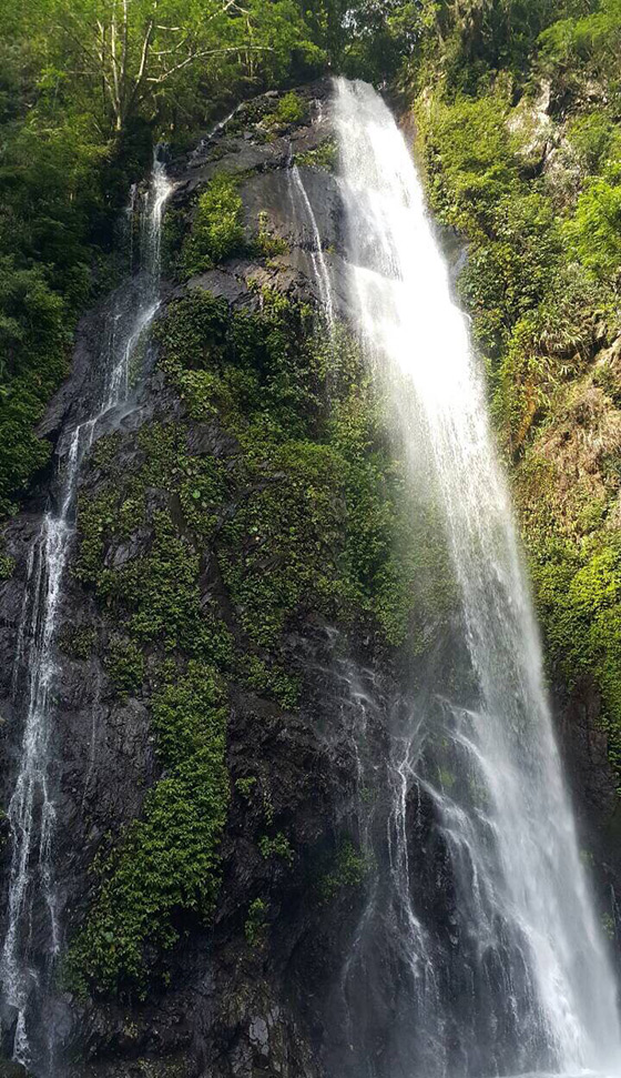 埔里/香亭民宿/溫泉/泡湯/住宿