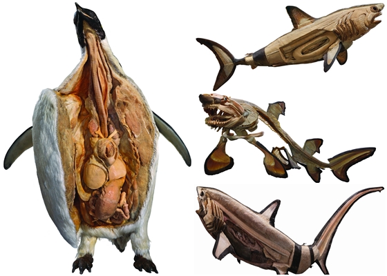 深海巨怪特展-单人全票两张,台北,展演票券,热销中