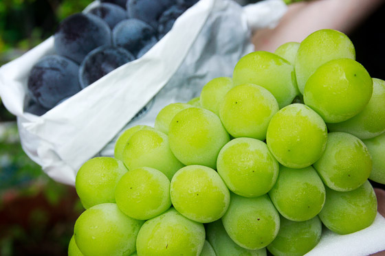 日本空运晴王-冈山限定麝香葡葡,冷冻\/生鲜蔬果