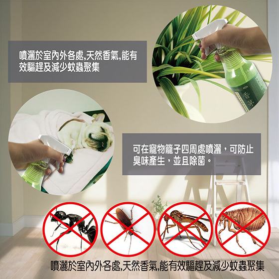 室翲香/台灣製造/純精/天然/樟腦油/香茅油/樟腦/香茅