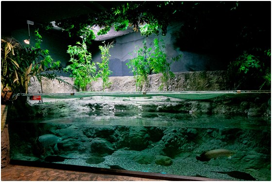 遠雄海洋公園/海洋公園/遠雄/花蓮/玩水