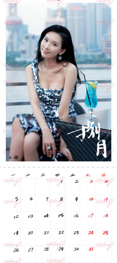 林志玲2013年历图片