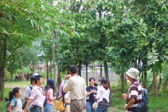 台南/新化/國家植物園/芬多精/夜間活動/住宿