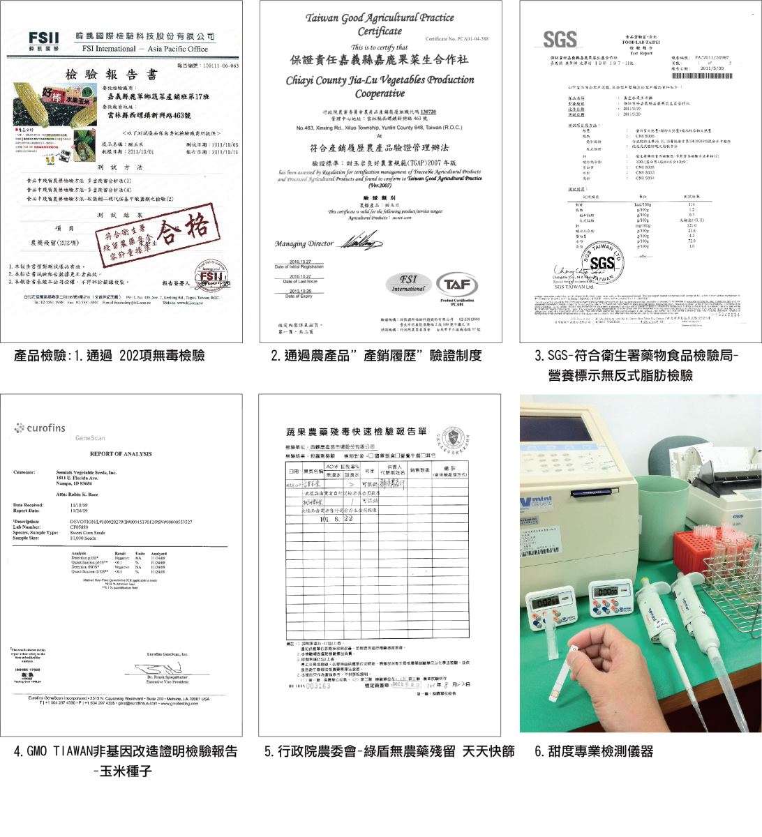 鮮綠農產/水果玉米筍/玉米筍/鮮綠/帶葉水果玉米筍/帶葉玉米筍