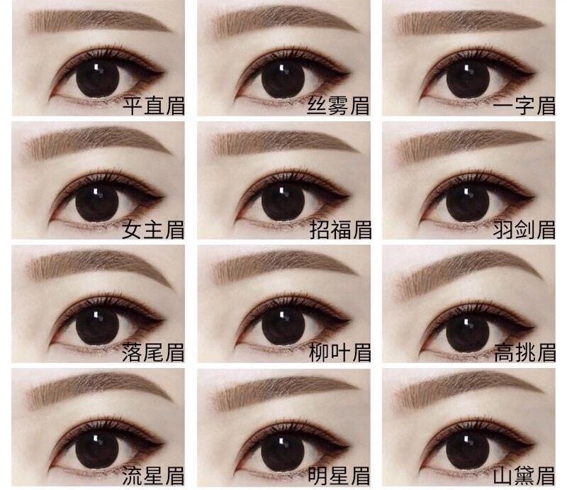 眉型殚绍