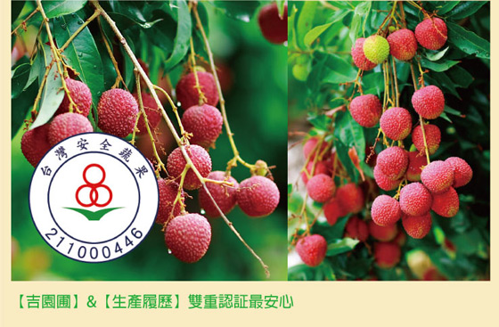 玉荷包带枝\/特级粒果礼盒-高雄首选,品质保证!