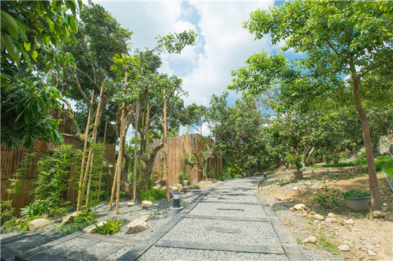 南投/麥凡諾/隱形屋/住宿/民宿/集集