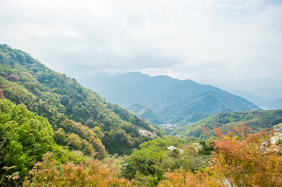 清境天祥景觀山莊/清境/南投/天祥/天祥景觀/住宿