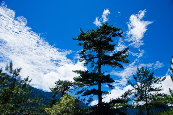 力麗哲園-花蓮/力麗/花蓮/七星潭/麻糬/原住民/蔥油餅/環保/地球/節省