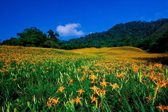 花蓮/溯溪傳奇/溯溪/溪邊