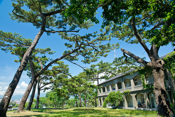 遠雄海洋公園/海洋公園/遠雄/花蓮/玩水