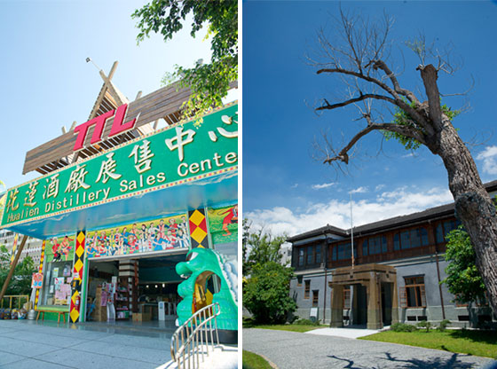 芒果旅店/花蓮芒果/芒果/旅店/花蓮住宿