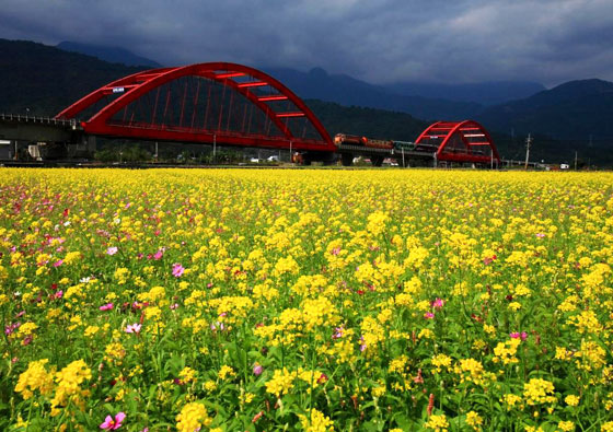 亚士都饭店-花现幸福花见爱住宿专案-滨临花莲