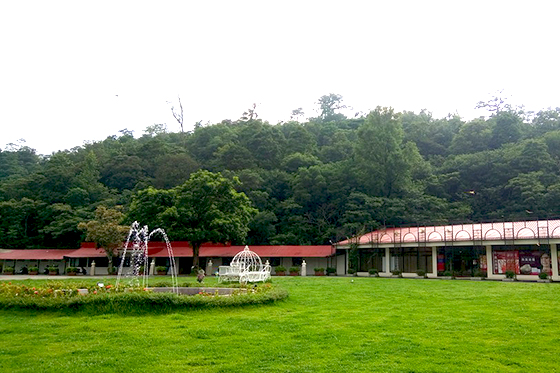 崑崙養生莊園/崑崙/崑崙養生/養生莊園/桃園/龍潭/門票