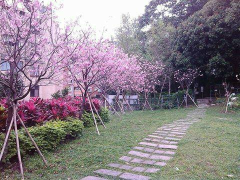 天母/古道/森林/花園/景觀餐廳/蔬食/火鍋/素食