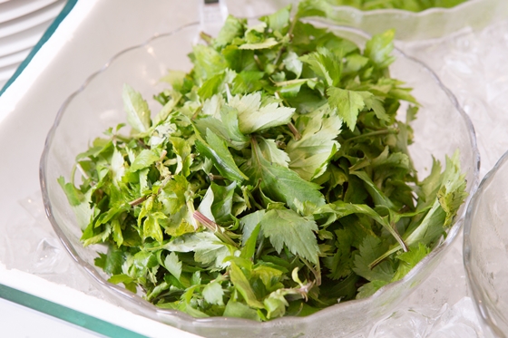 豪豐/蔬食/百匯/吃到飽