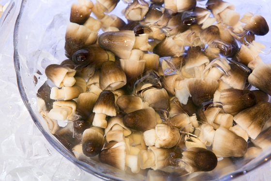 豪豐/蔬食/百匯/吃到飽