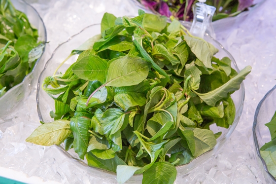 豪豐/蔬食/百匯/吃到飽