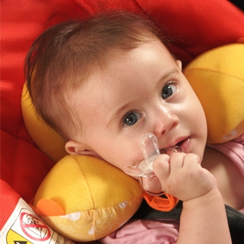 嬰幼兒專用頸枕/安全帶護套