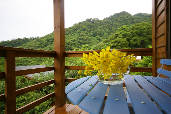 山居蘭園/苗栗民宿/苗栗 山居蘭園/苗栗/民宿/山居蘭園景觀咖啡民宿/景觀咖啡民宿