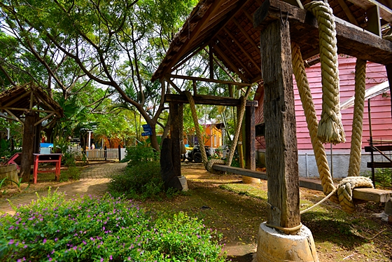 青林農場/青林/桃園青林/桃園農場