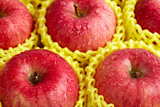 富士苹果特级品-日本青森县~富士苹果特级品!