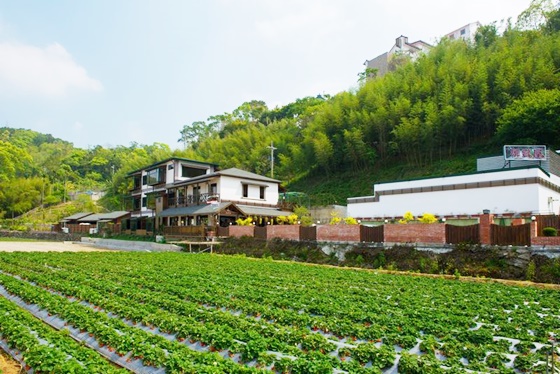 御賞屋/日式/溫泉/民宿/御賞屋日式溫泉民宿/苗栗/大湖/住宿