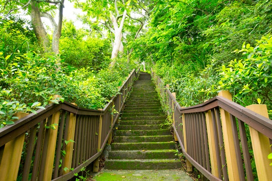 火炎山溫泉度假村/門票/火炎山/遊樂區/ 苗栗苑里