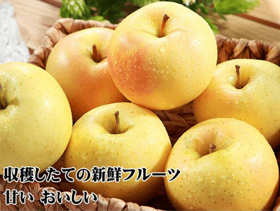 日本青森/Toki/水蜜桃蘋果/水果/青森縣/蘋果/秋季