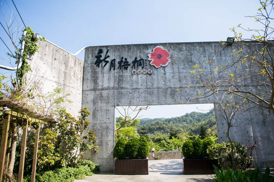 新月梧桐《三義店》