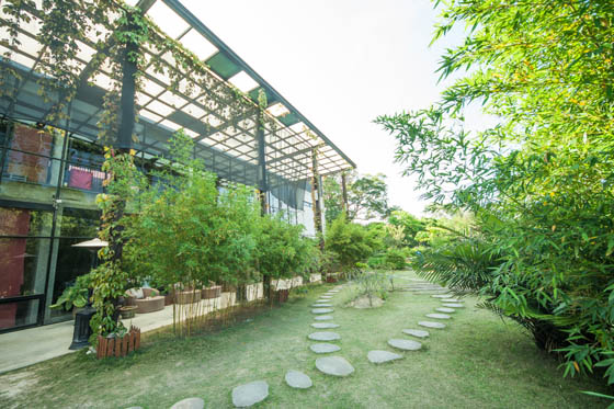 新月梧桐《三義店》