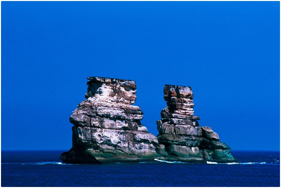 北海岸-和昇石門旗艦會館/北海岸/和昇/石門/套餐/鬆餅/蛋糕/鱈魚