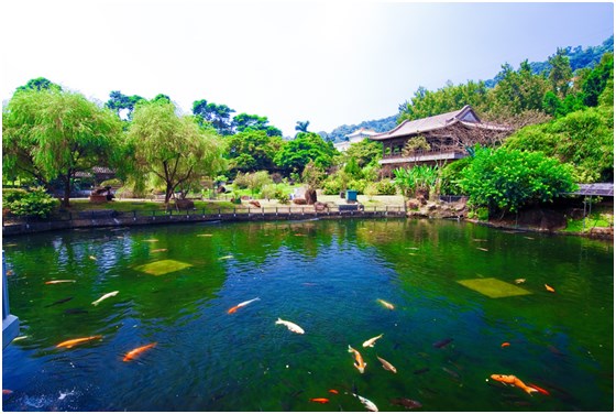 陽明山出霧溫泉/陽明山/出霧/溫泉/台北/湯屋/泡湯