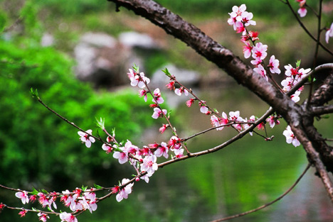 山樂會館/北投/泡湯/溫泉/山樂/神奇寶貝/北投公園/大眾