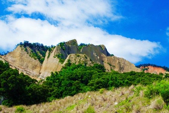 山居蘭園/苗栗民宿/苗栗 山居蘭園/苗栗/民宿/山居蘭園景觀咖啡民宿/景觀咖啡民宿