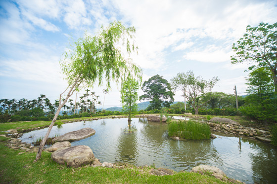 華山觀止/華山/觀止/古坑/雲林/下午茶