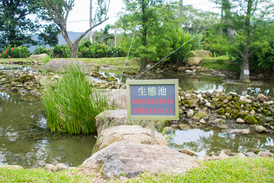 華山觀止/華山/觀止/古坑/雲林/下午茶