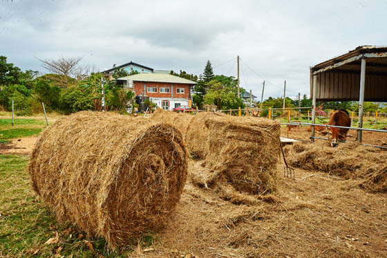 墾丁/我的主題/渡假村/快樂城堡/我的主題渡假村/屏東住宿