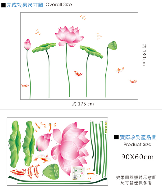 荷花-2.jpg